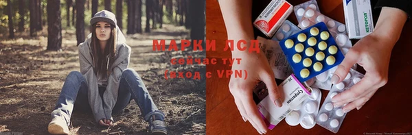 герыч Вязьма