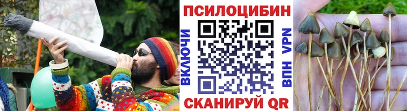Псилоцибиновые грибы мухоморы  Купить закладки  Краснокамск 