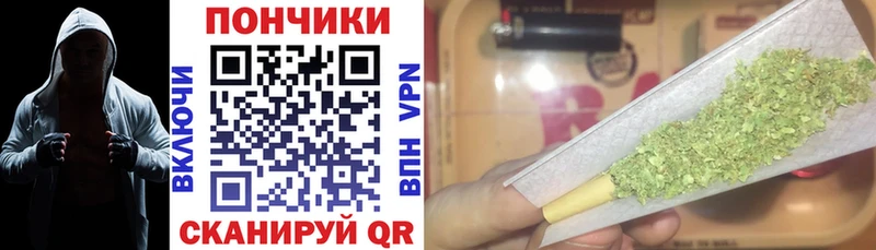 Купить где  Краснокамск  МАРИХУАНА ГИДРОПОН 